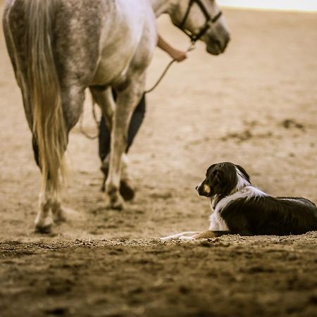 Western Pleasure Guest Ranch Sandpoint Εξωτερικό φωτογραφία